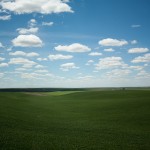 IMG_0964
