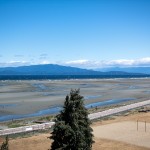IMG_1897