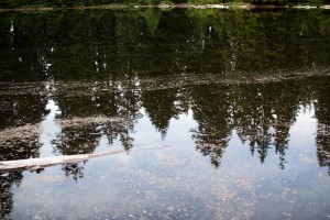 IMG_3084