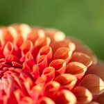 IMG_3377