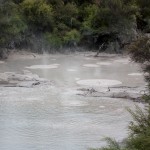 IMG_5055