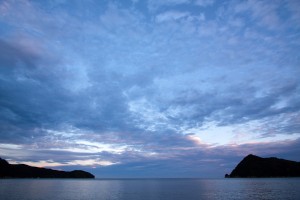 IMG_5231